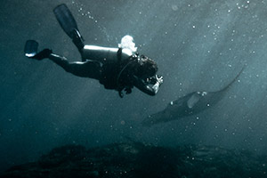 Diver-and-Manta-Ray-Manta-alfredi-at-Hin-Muang-Thailand-intro