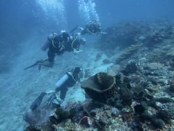 Divers-at-Island-5-Koh-Haa-Koh-Lanta-Thailand