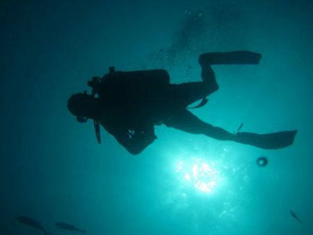 Diver-at-Koh-Bon-Koh-Tachai-Similan-Islands-Thailand