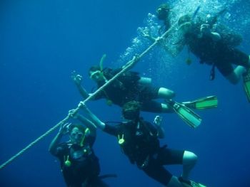 Divers-on-mooring-line-at-Richelieu-Rock-Similan-Islands-Thailand