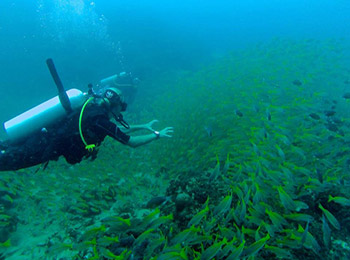 dive-sites-Similans