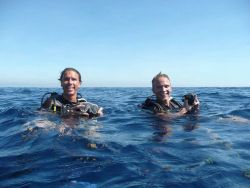 happy-divers-in-sea