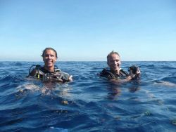 happy-divers-in-sea